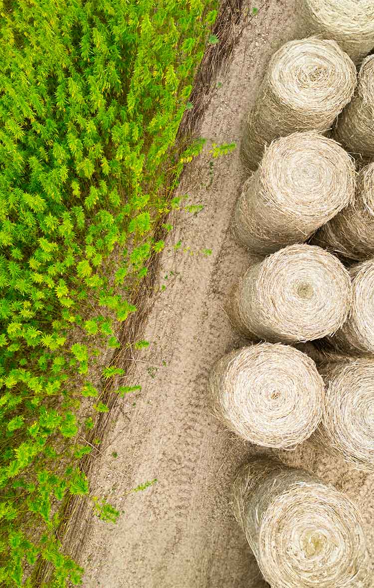 Congrès All Hemp